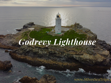 Explore Godrevy Lighthouse: A Historic Beacon Amidst Nature's Splendor