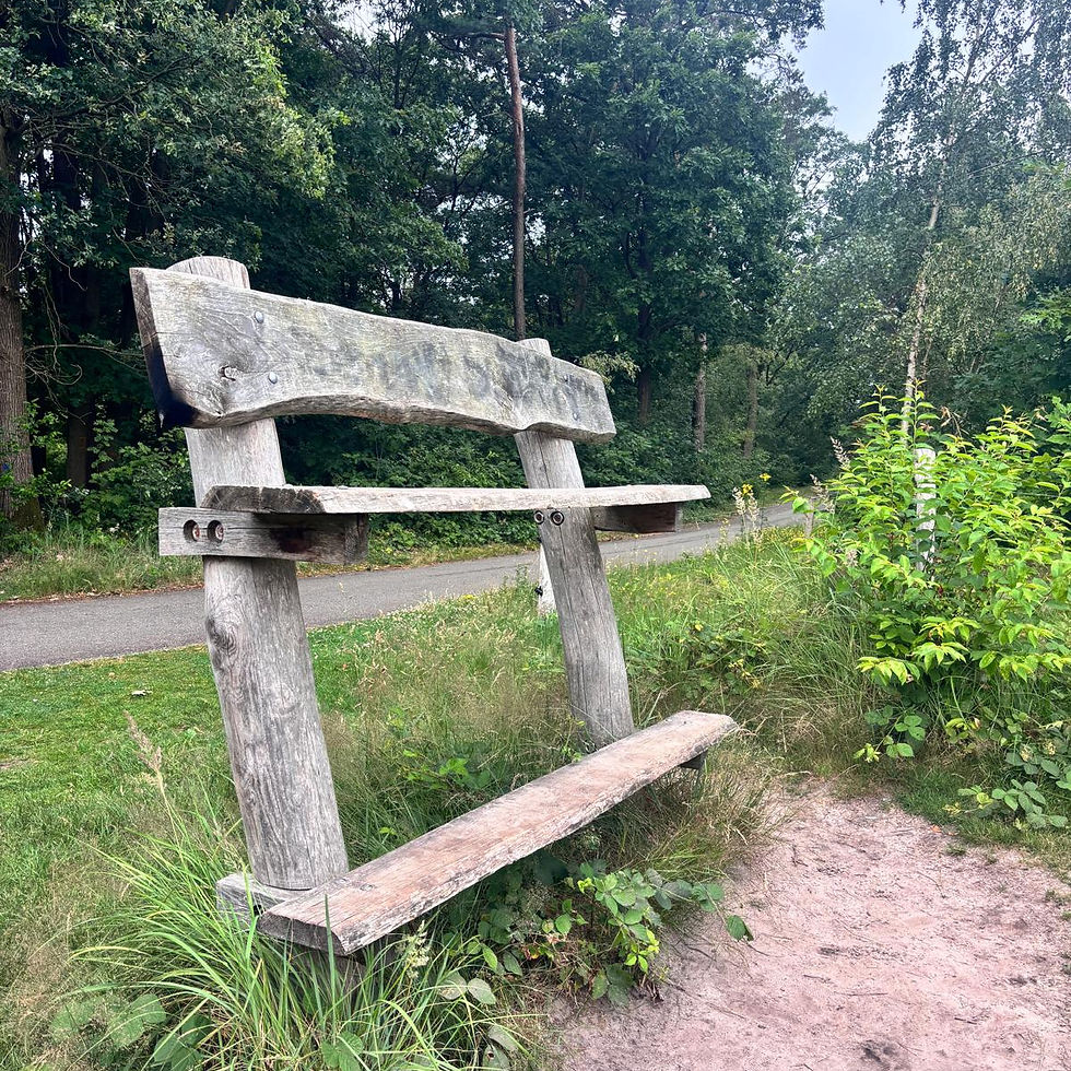 Sabbatical week 18: tijdens een fietstocht neem ik plaats op deze hoge bank met uitzicht over Surae