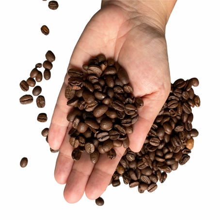 Wat je moet weten over de populaire arabica koffiebonen