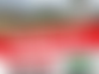 ２月に体験会します