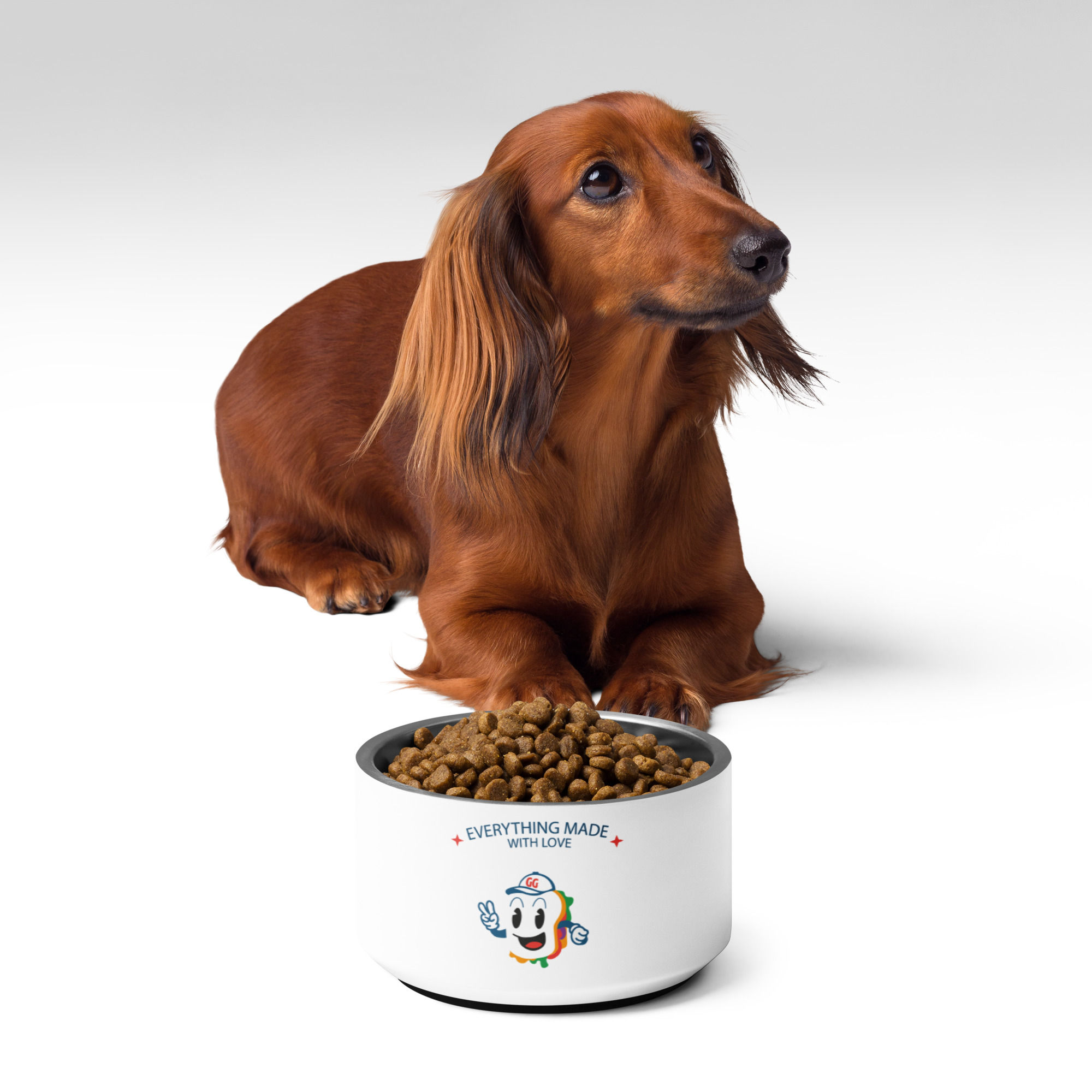 Plato para mascota