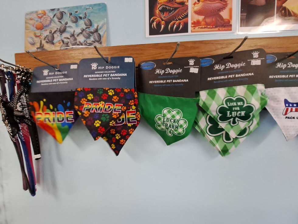 080924 - Reversible Pet Bandanas 2.JPEG