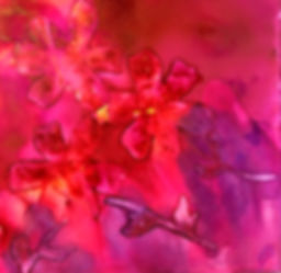Garden.jpeg