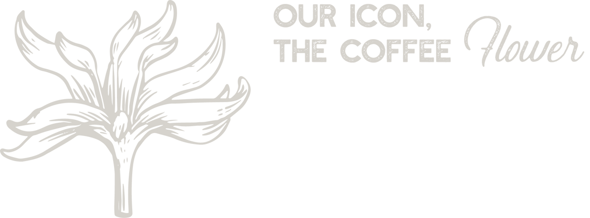 Classen Coffee Co.