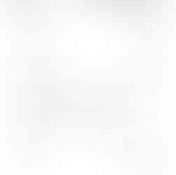 Android compatibility information display, including version, downloads, and device support details. PANDITJIPUNE