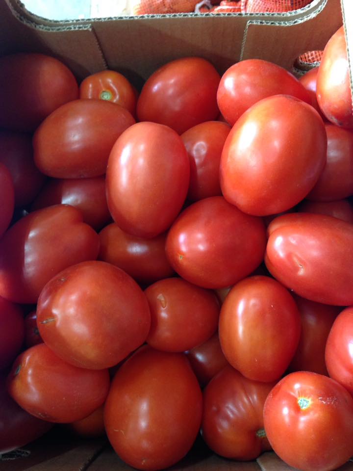 Tomate Italiennes no2