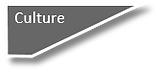 Transformation Architecture: Culture