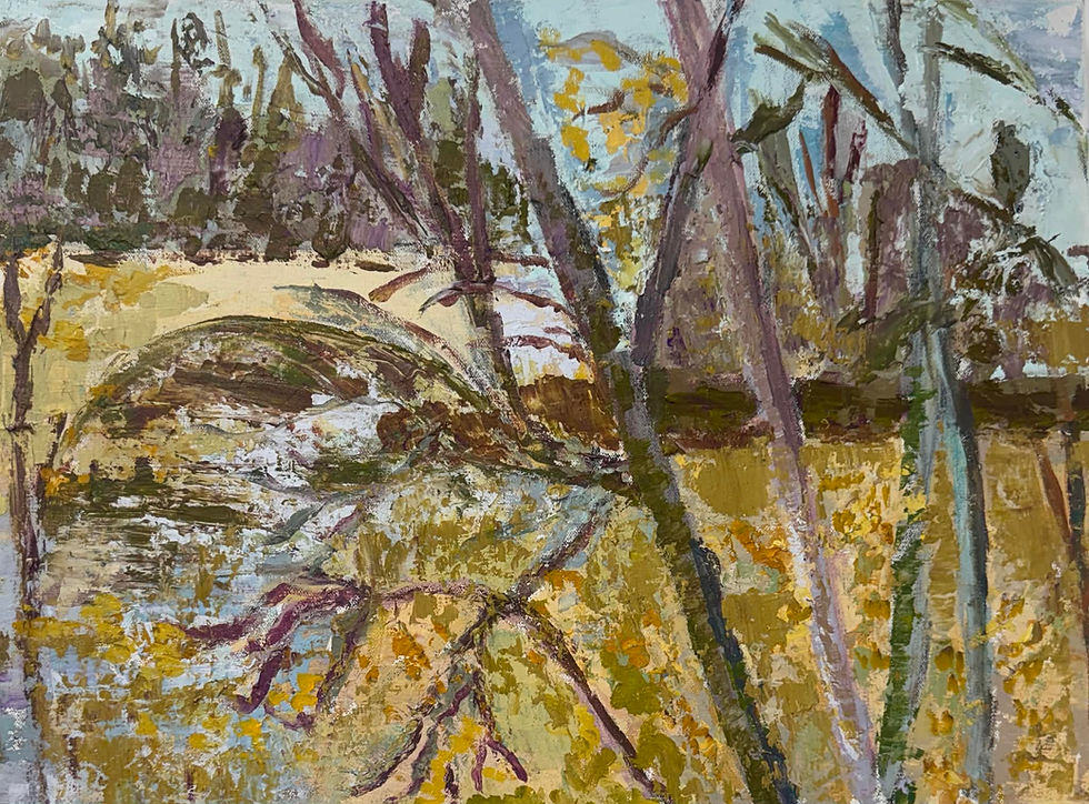 A Quiet Nightly Ritual—and the Growth I Almost Missed