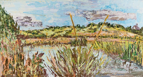 Cape Cod Marshes_3000p.jpg