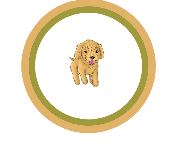 round circle image of coco the dog