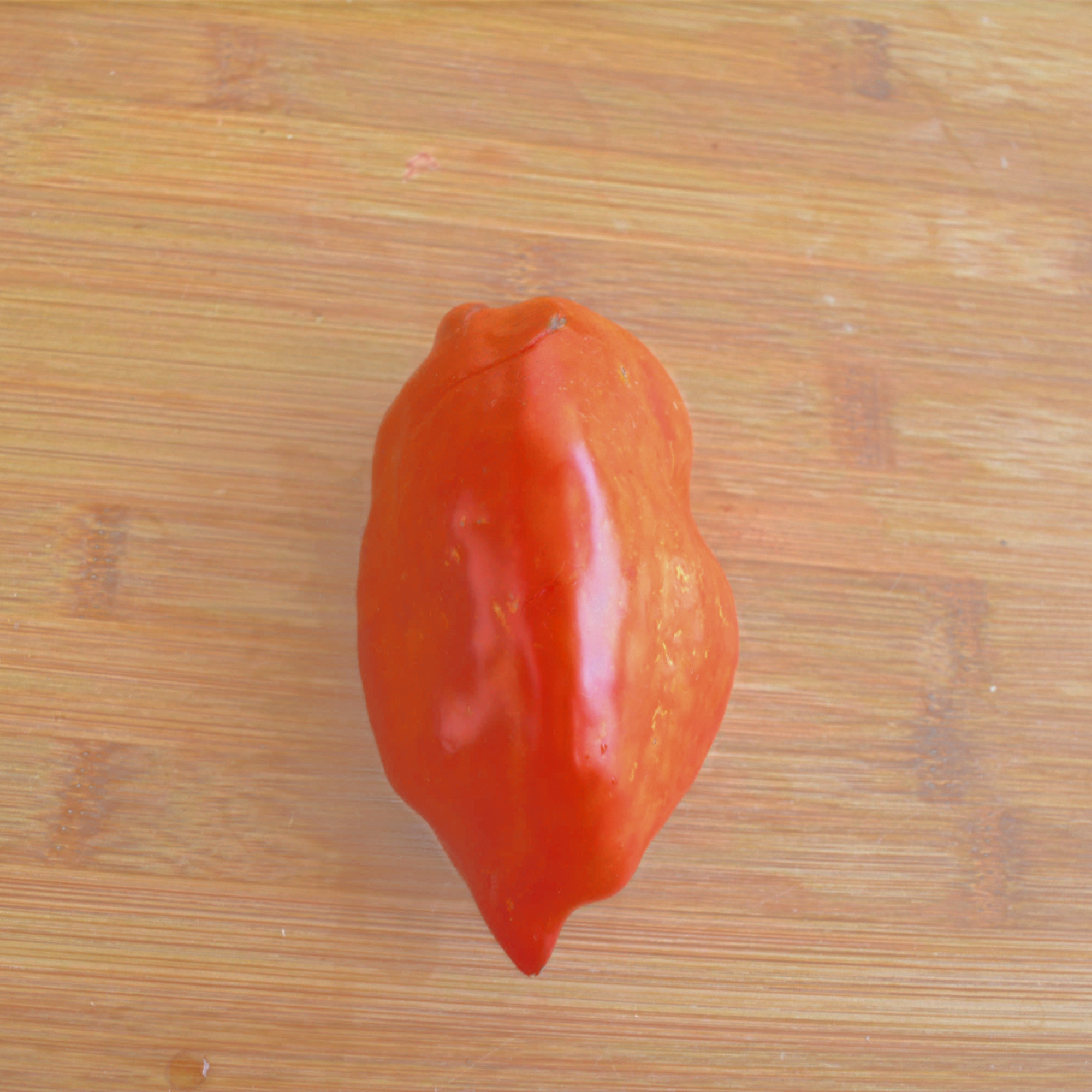 Jersey-Devil-Tomato