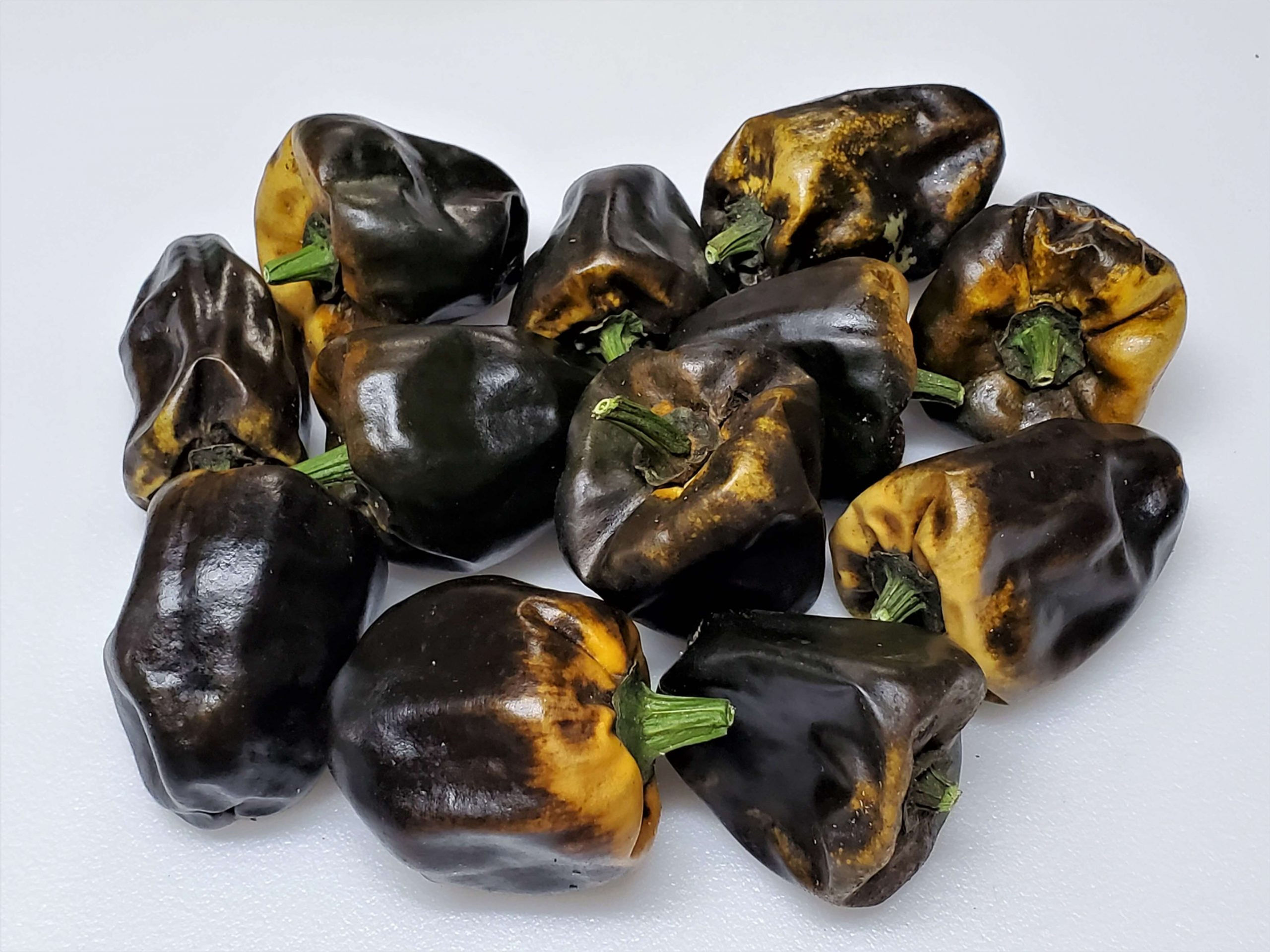 Chihuacle Amarillo pepper (Capsicum annuum)