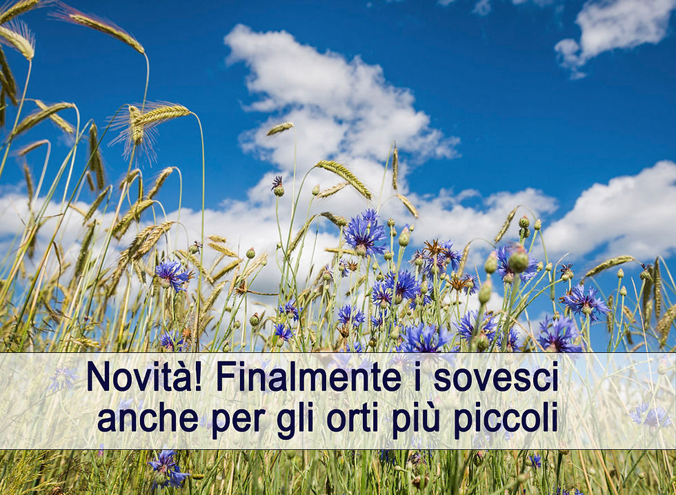 Sovesci e sottosemine