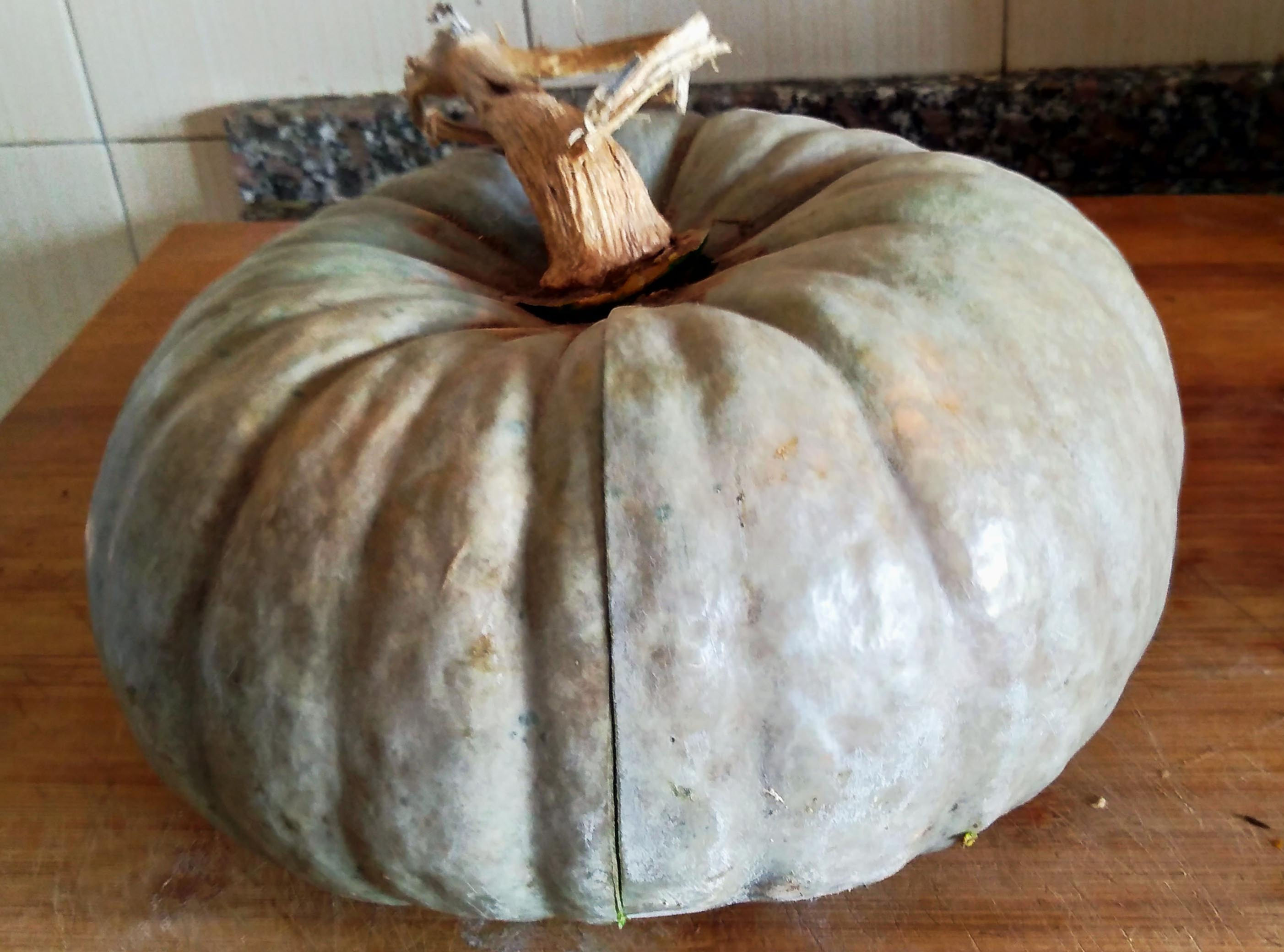 Beretta_Piacentina_Pumpkin