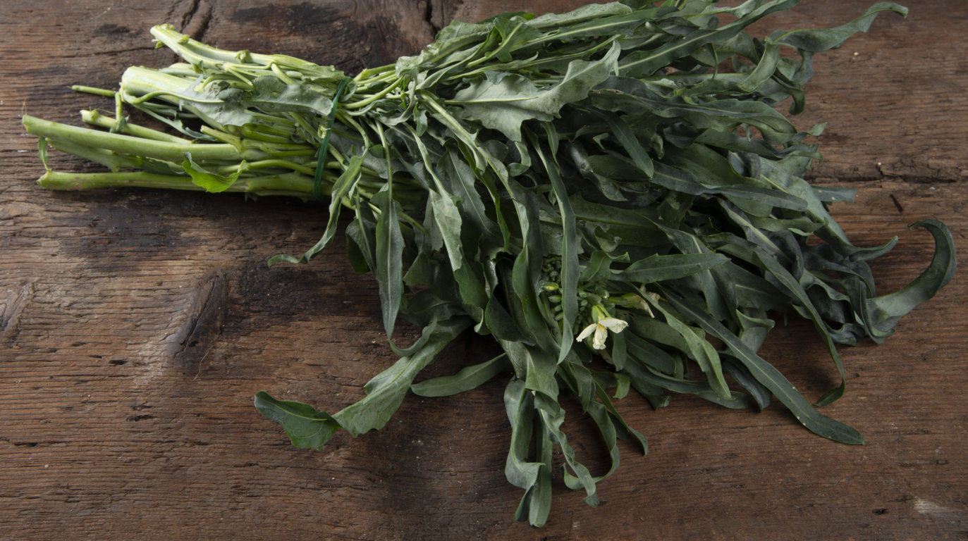 Brócoli Spigarello (Brassica oleracea)