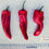 Miniatura: Ají Isleta Pueblo (Capsicum annuum)