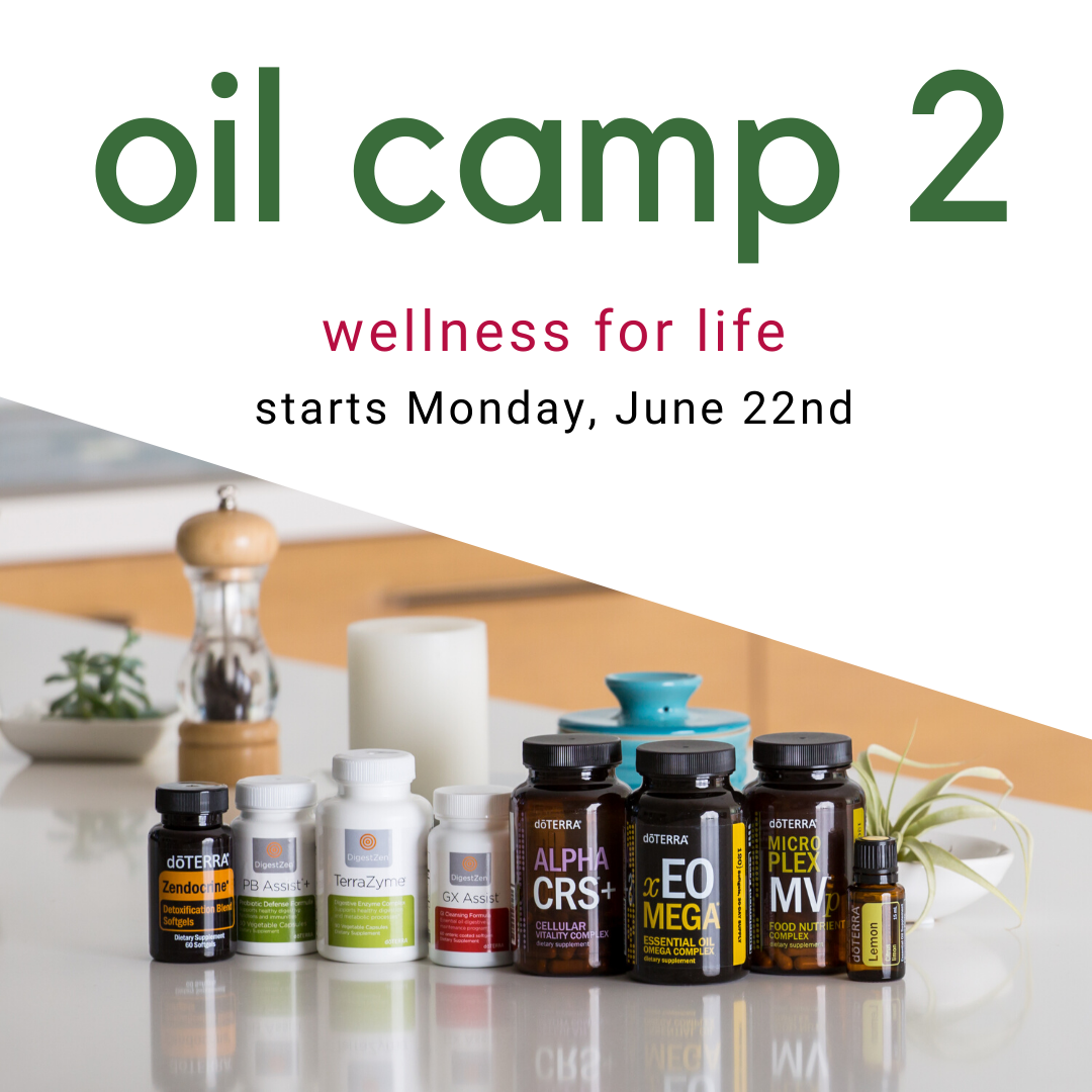 Oil Camp 2