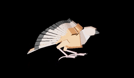 Bird Animation