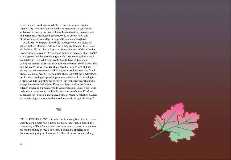 Thumbnail: The Barley Bird: Notes on the Suffolk Nightingale