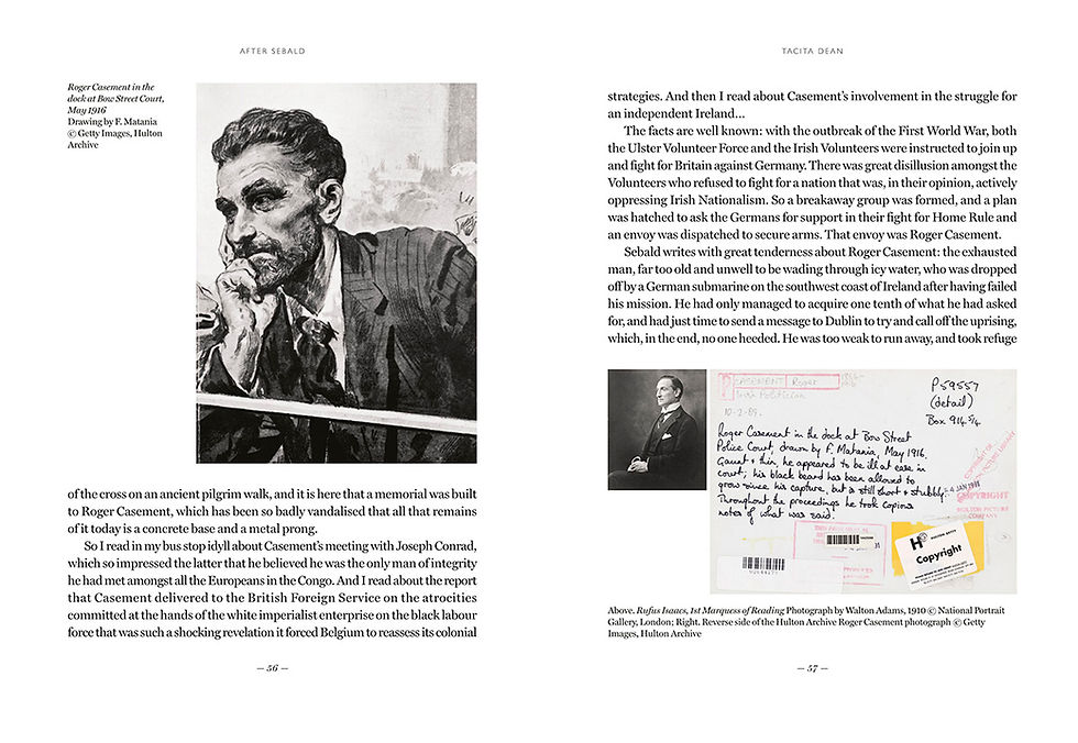 Thumbnail: After Sebald: Essays and Illuminations