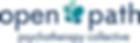 Open Path Logo (1).png