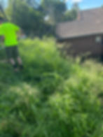 Worker clearing overgrown grass and scrub during a yard clean-up