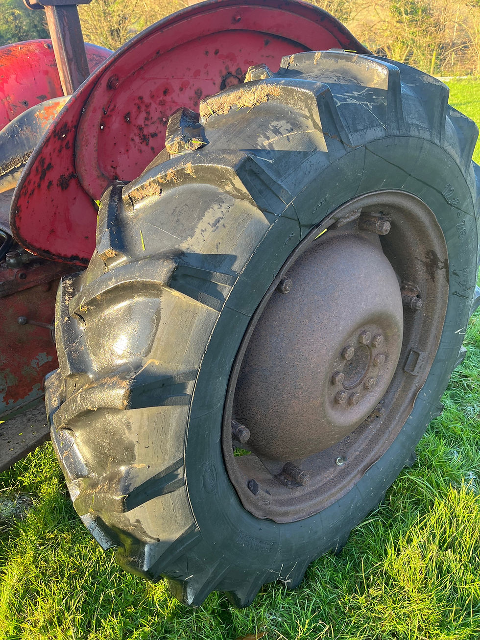 Thumbnail: Massey Ferguson 35 3 cylinder with loader has loader bucket and dung fork ready 
