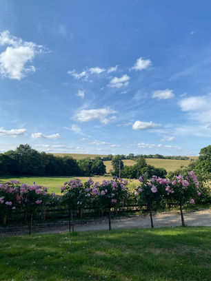 View from Gable Cottage