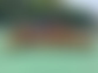 五人足球交流日