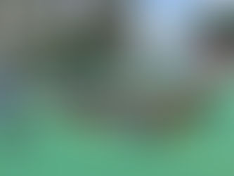 2023清河回歸盃五人足球賽 U11組別