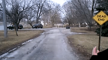 SpaceDog TV - Run Trent! Run! GIF
