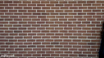 E217 - Chase & Shep Sue Kevin Smith (GIF)