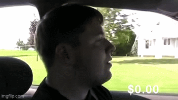 SpaceDog TV - My Ford Contour GIF