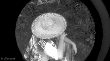 Viva La Web Show - Dick Sheppard's Tequila GIF