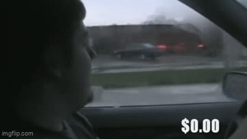 SpaceDog TV - My Ford Contour 2 GIF