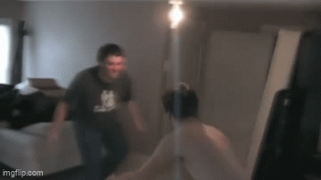 SpaceDog TV - Stupid House Fighting GIF
