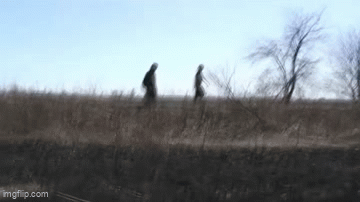 SpaceDog TV - Bucky's Safari GIF
