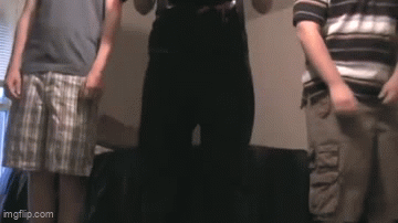 SpaceDog TV - A PALS Labor Day GIF
