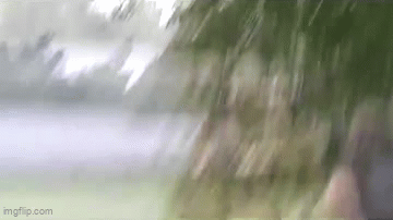 SpaceDog TV - Officers GIF