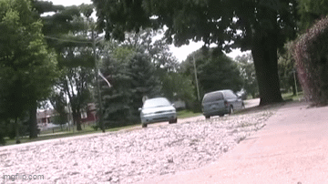 SpaceDogTV - Unfortunate Events GIF