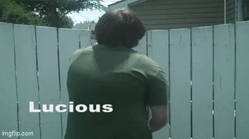 SpaceDog TV - The Return of Lucious the Friendly Stranger GIF