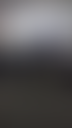 LA SUB 20 RECIBIÓ UN RECONOCIMIENTO POR SU TRIUNFO EN LA LIBERTADORES