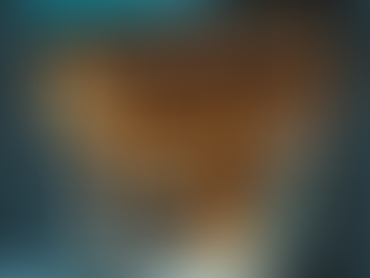 Navigating the Legal Maze: Essential Advice for Small Business Owners