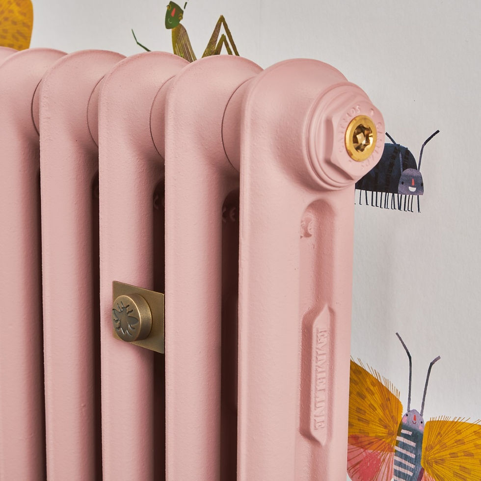 Thumbnail: Emmeline I Cast Iron Radiator | Castrads