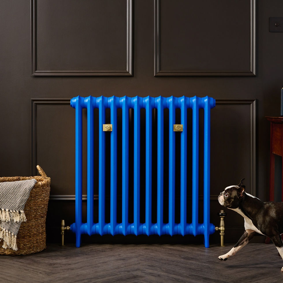 Thumbnail: Emmeline I Cast Iron Radiator | Castrads