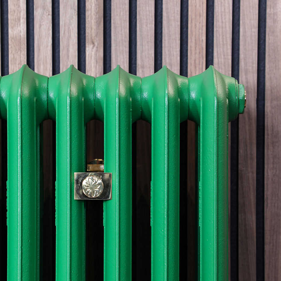 Thumbnail: Emmeline III Cast Iron Radiator | Castrads