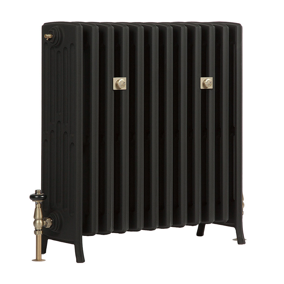 Thumbnail: Grace 6 Column Cast Iron Radiator | Castrads