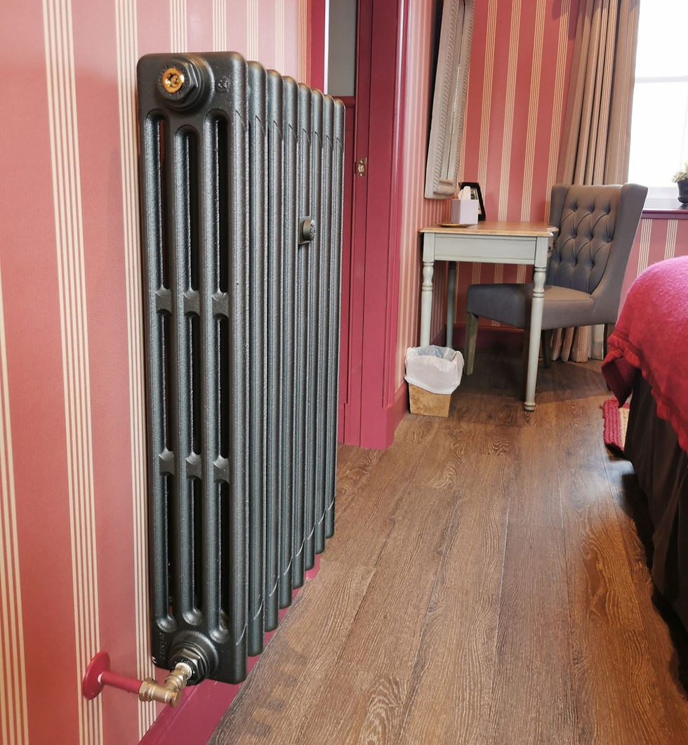 Thumbnail: The Mercury 4 Column Cast Iron Radiator | Castrads