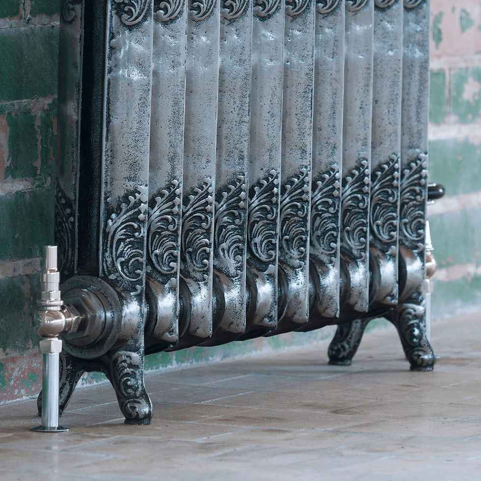 Thumbnail: Rococo 1 Single Column Cast Iron Radiator | Arroll