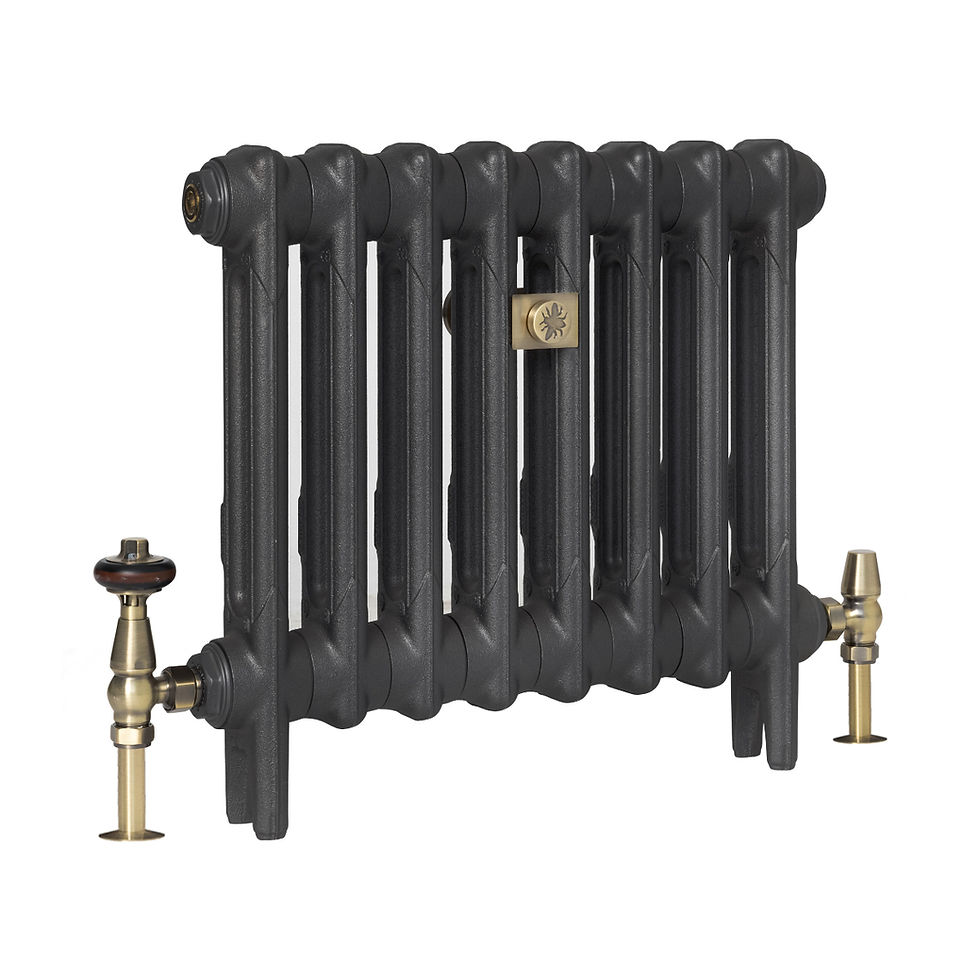 Thumbnail: Mercury 2 Column Cast Iron Radiator | Castrads